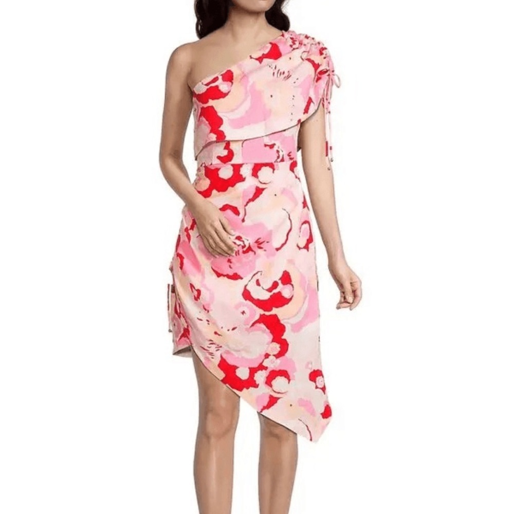 Elliatt afterglow dress